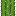 Cactus Cactus